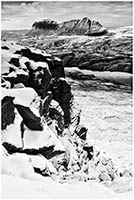 bw88